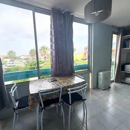 Apartament Joli T2 Avec Loggia, Parking Prive, Animaux Admis - - Fr-1-799-58 Le Barcarès